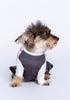 Pj Salvage dog fair isle sweater