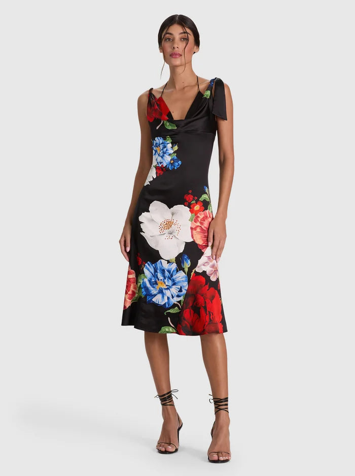 Alice and Olivia Abigail Bikini Midi Dress