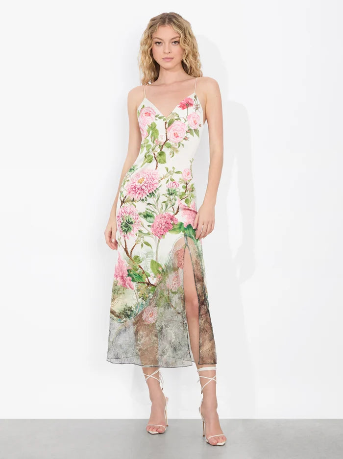 Alice and Olivia Julietta Cutaway Lace Slip Dress