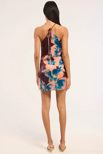 Misa Avri Dress