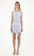 Especia Drácena Mini Dress