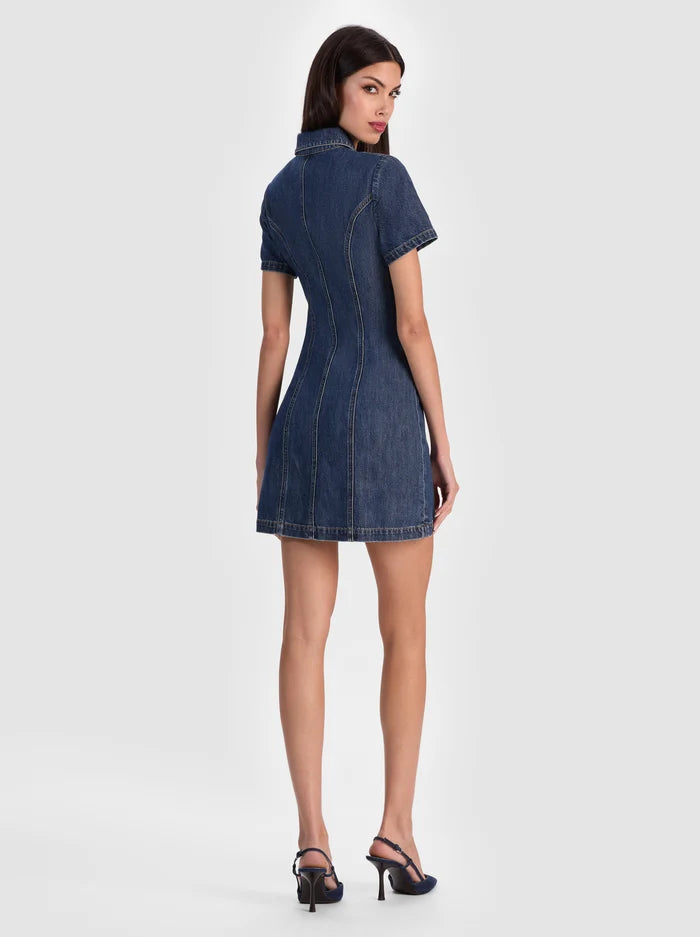 Alice + Olivia Jamie Denim Mini Dress, Size 6