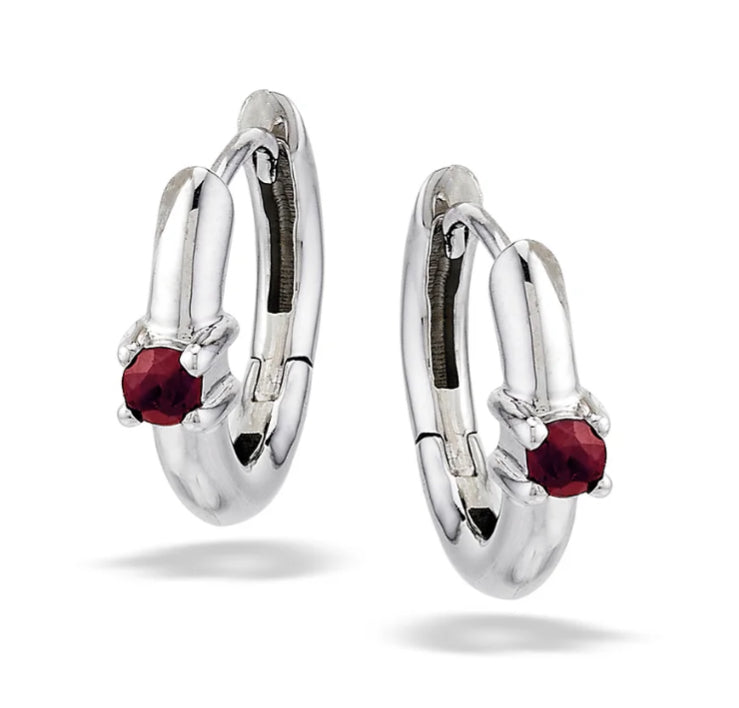 Genesis Jewelry Elegant Hoop Earrings