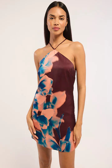 Misa Avri Dress