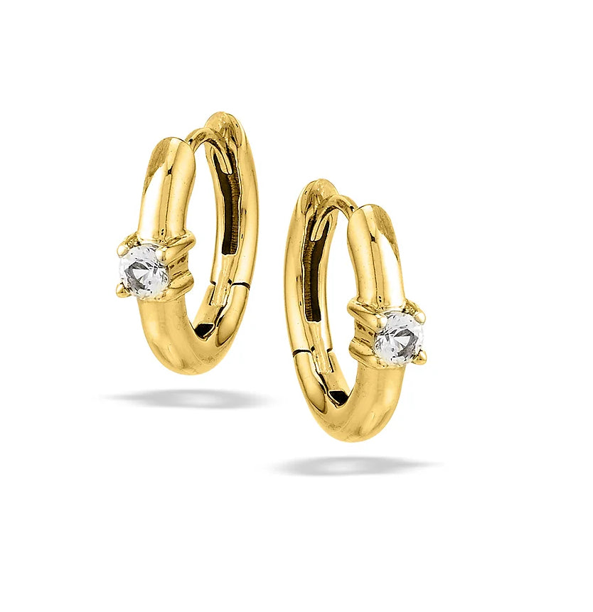Genesis Jewelry Elegant Hoop Earrings