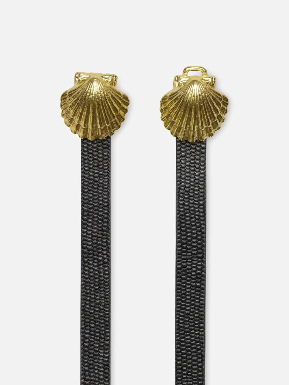 Frame Coquillage Belt