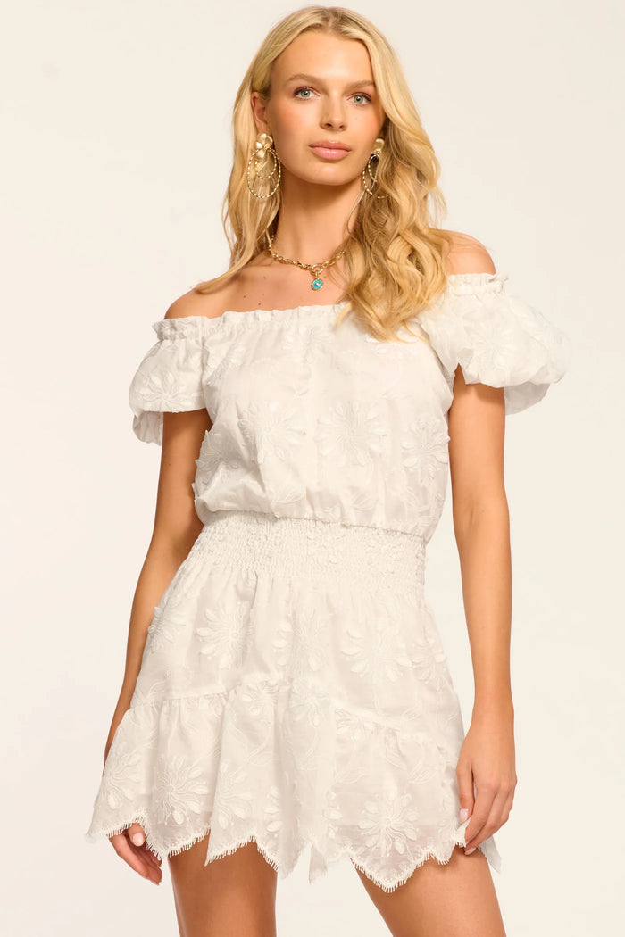 Ramy Brook Verona Embroidered Organza Mini Dress