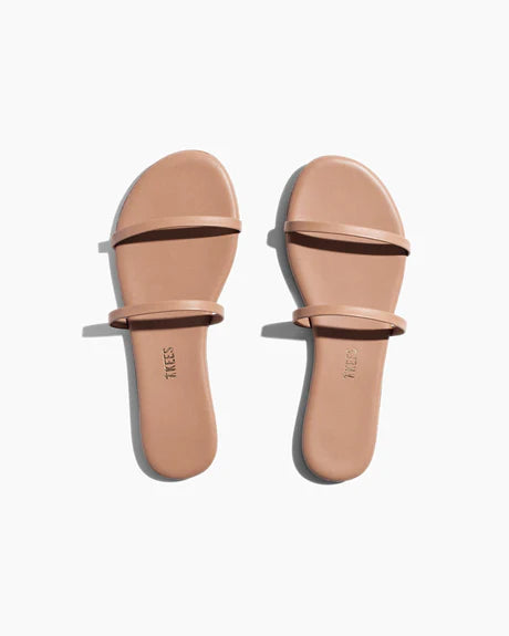 Tkees Gemma exotic- sandsnake