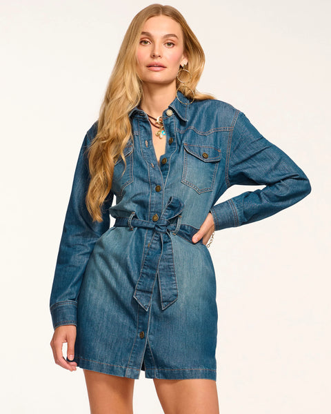 Ramy Brook Starling Long Sleeve Denim Mini Dress