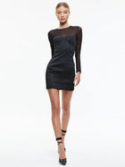 Alice and Olivia Takako Mesh Long Sleeve Minidress