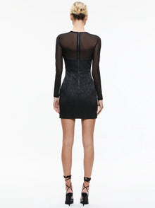 Alice and Olivia Takako Mesh Long Sleeve Minidress