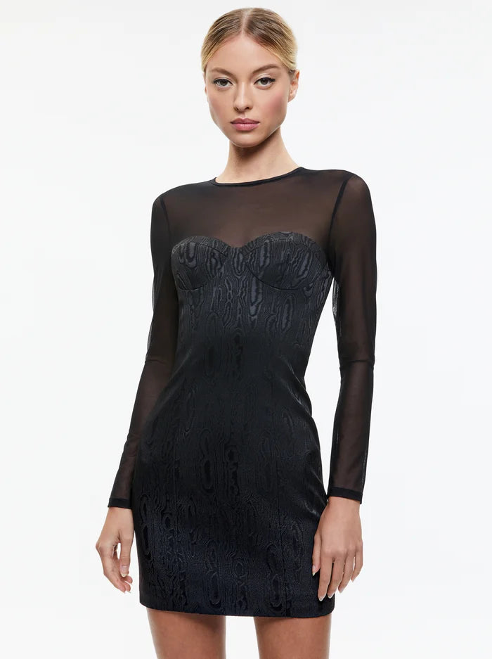 Alice and Olivia Takako Mesh Long Sleeve Minidress