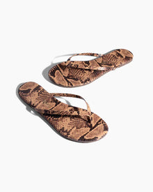 Tkees Studio Exotic - Coco Snake