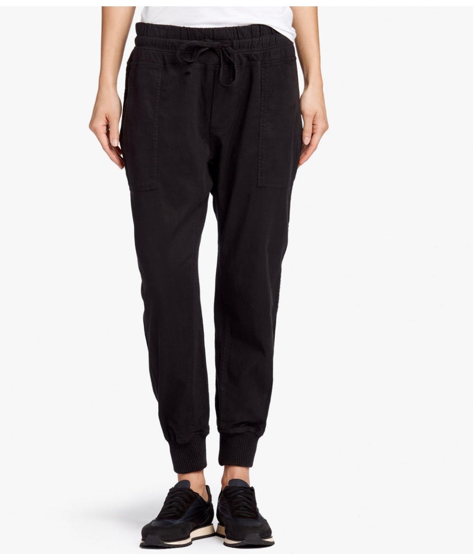 James perse mixed media pant
