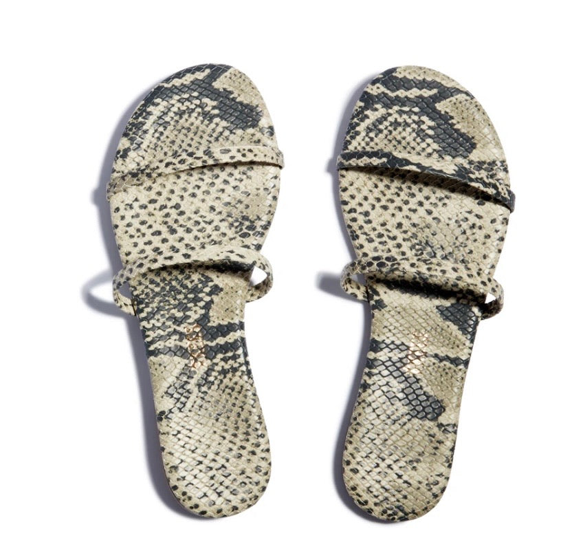 Tkees Gemma exotic- sandsnake