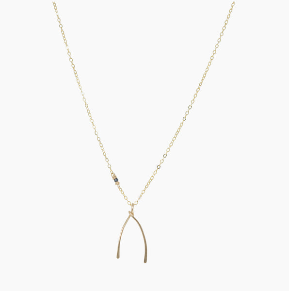 Liz James Lucky Wishbone Necklace