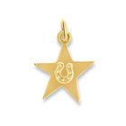 Hart LUCKY STAR CHARM (HORSESHOE)