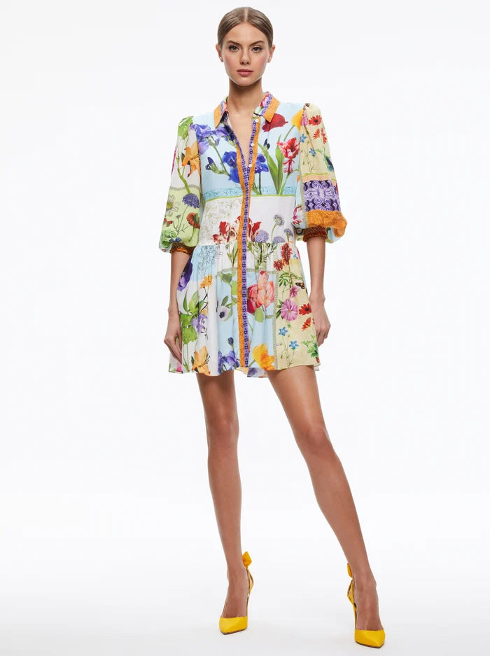 Alice and sales olivia shirt dress